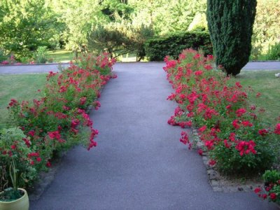 Les jardins du Monastère - la promenade